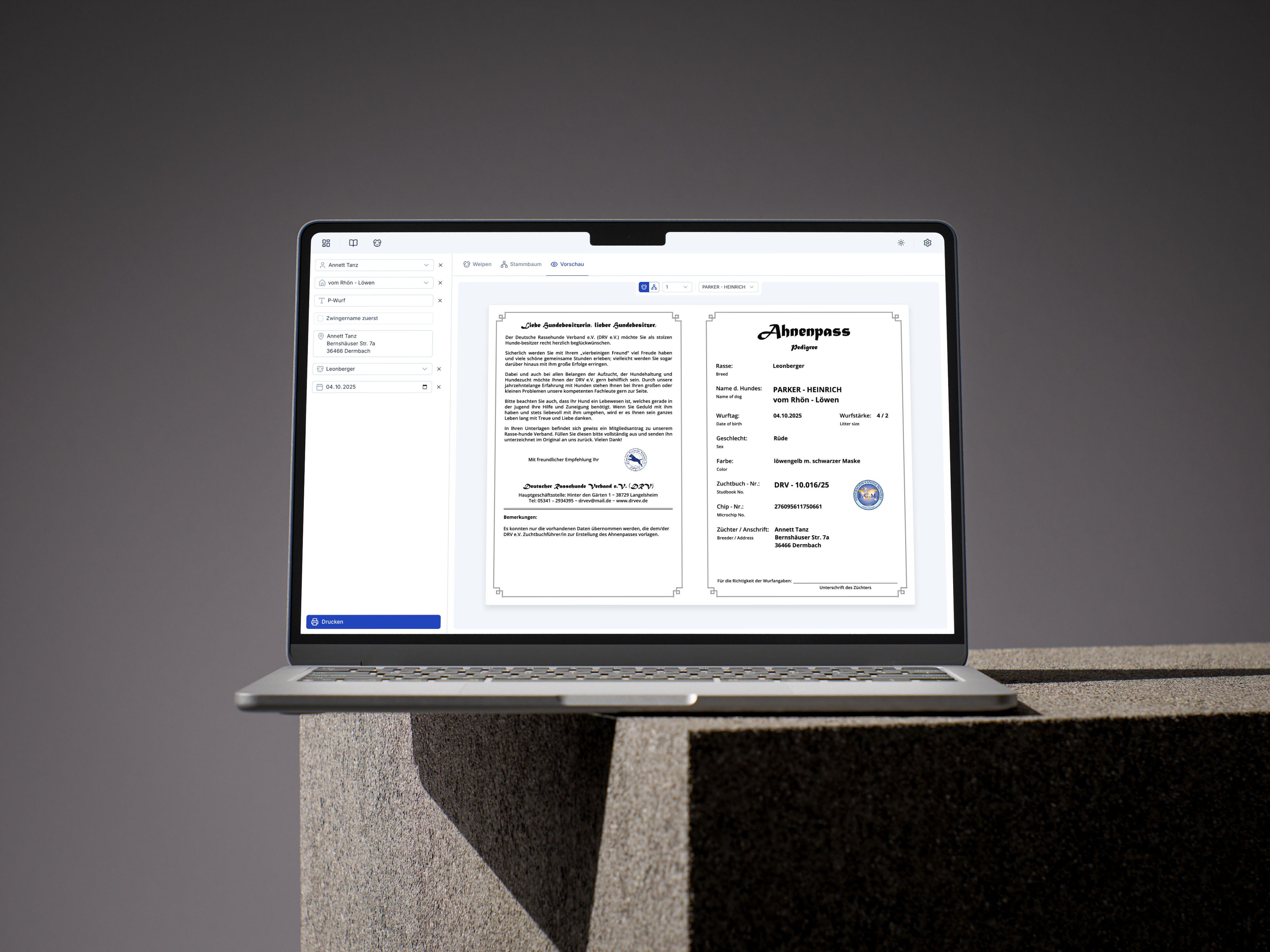 Die Ahnentafel-Erstellungs Ansicht der Web-App "Gencestor" gezeigt auf einem MacBook Air